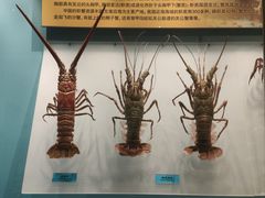 -天津自然博物馆