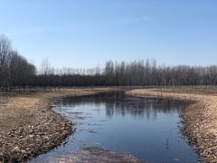 -东郊湿地公园