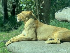 -北京野生动物园