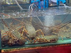 -班赞海鲜市场