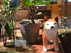 -柴务处·柴犬主题狗咖