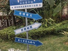 -西双版纳傣族园
