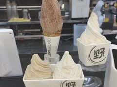 -野人先生现做冰淇淋(西安赛格店)