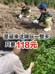 -麦粒鸟亲子游