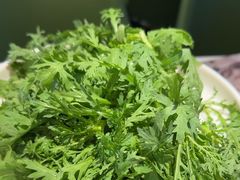 -烹然四季椰子鸡火锅(姚家园万象汇店)