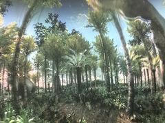 -浙江自然博物院(杭州馆)
