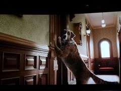 -大光明丽星VIP影城(昌里路杜比全景声店)