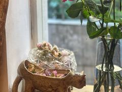 -六月花园咖啡馆(中关村东路店)