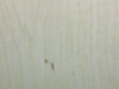 -岳各庄批发市场(西四环中路店)