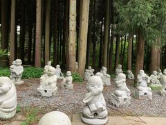 -武陵山森林公园
