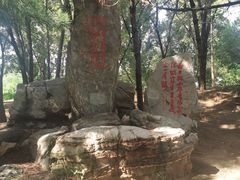 -廊坊市自然公园