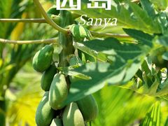 -三亚西岛海洋文化旅游区