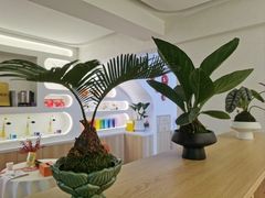 -瑶舍头疗·瑶浴·芳香热石SPA(五洲国际店)