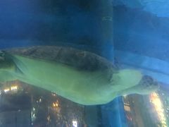 -北国之春国宴(乌兰察布店)