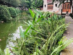-龙潭水乡
