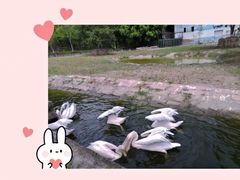 -乐和乐都主题乐园