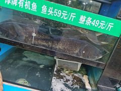 -好灶头妈妈菜·柴火灶台鱼·千岛湖土菜地标美食