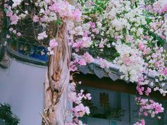 -深圳国际园林花卉博览园