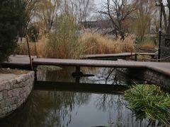 -春风习习