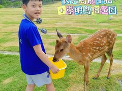 -前小桔亲子创意农场·草莓采摘·露营烧烤