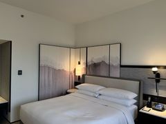 -新加坡乌节希尔顿酒店 (SG Clean)