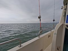 -日照世帆赛基地