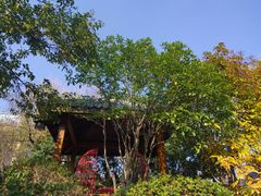 -郑州银基黄帝宫御温泉