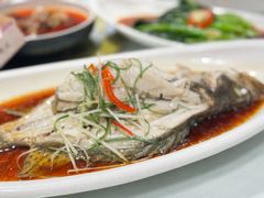 -天福苑(崇宁路店)
