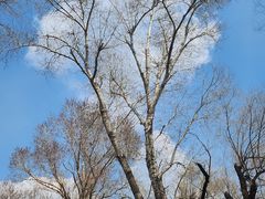 -长春市南湖公园