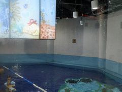 -蓝旗游泳·青训·亲子水域中心(方庄中心)