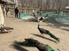 -水上乐园·欢乐世界