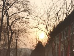 -荣德灶台鱼(圣泉寺店)