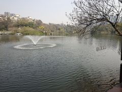 -重庆彩云湖湿地公园
