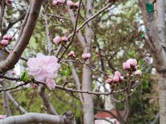 -海棠花溪(元大都城垣遗址公园)