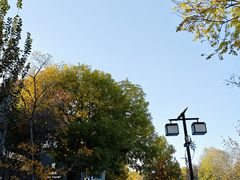 -龙湖星悦荟(颐和店)