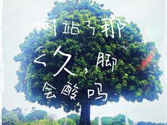 -广东圆玄道观
