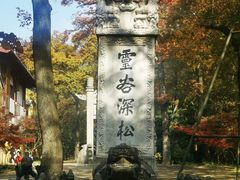 -灵谷景区