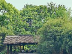-棠湖公园