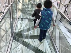 -陕西自然博物馆