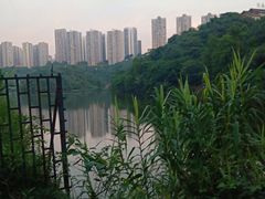 -重庆彩云湖湿地公园