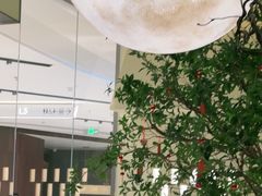 -静耳元気采耳·按摩·SPA(万象前海店)