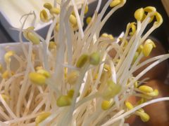 -0048鲜活香辣虾·火锅(铜陵路店)