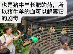 -广州神农草堂中医药博物馆
