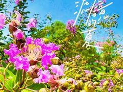 -郑东新区湿地公园
