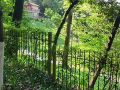 -广州市白云山风景名胜区
