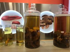 -鲜菌江湖正宗野生菌火锅