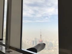 -上海柏悦酒店