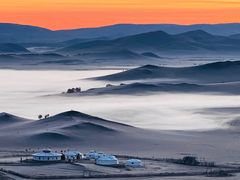 -乌兰布统景区-白桦林