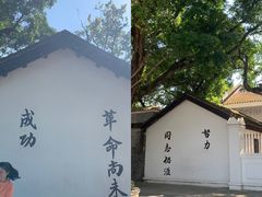 -长洲岛