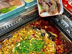 -黑猫馋纸包鱼(阳光店)